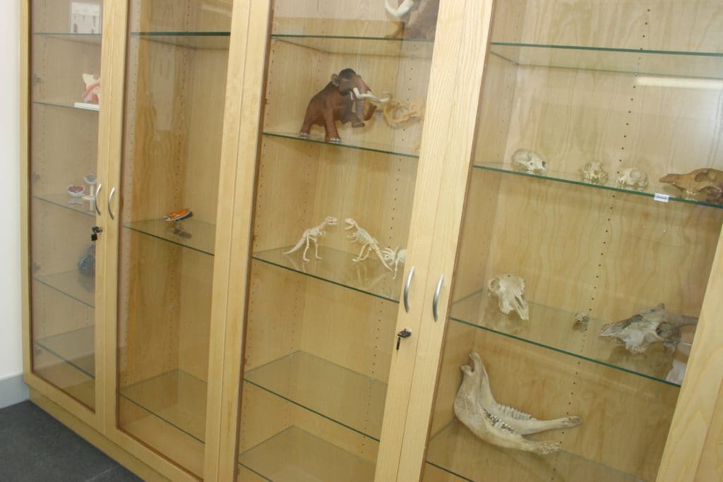 Habberley Learning Campus Display Cabinet