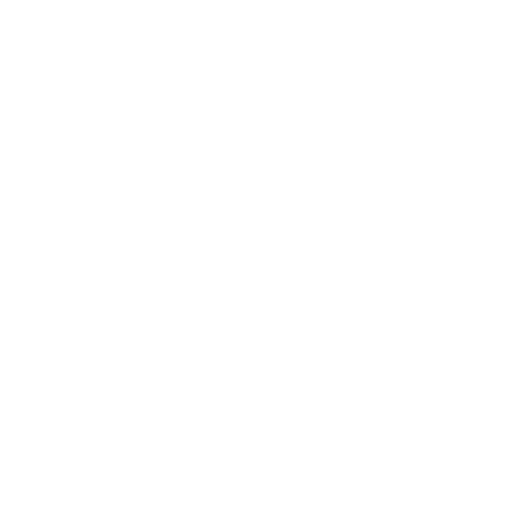 Pencil And Ruler Icon White