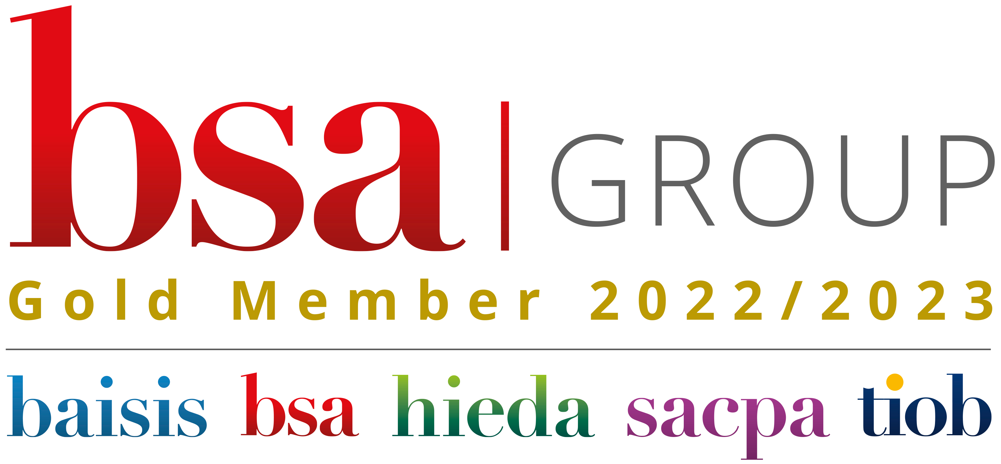 BSA Group Gold Certified Supplier 2021